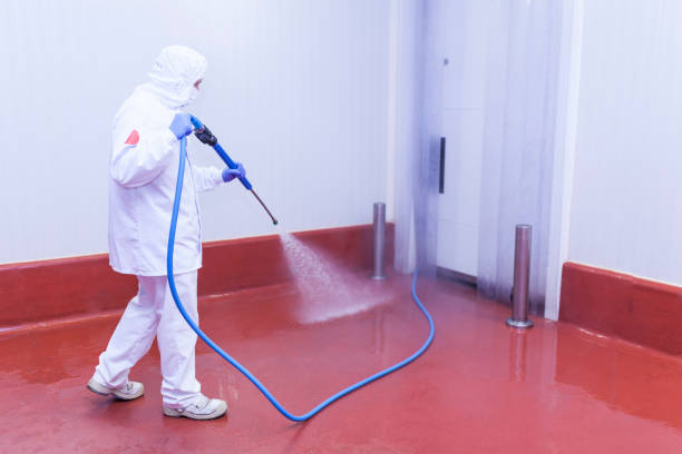 Best Solar Panel Cleaning  in Dothan, AL